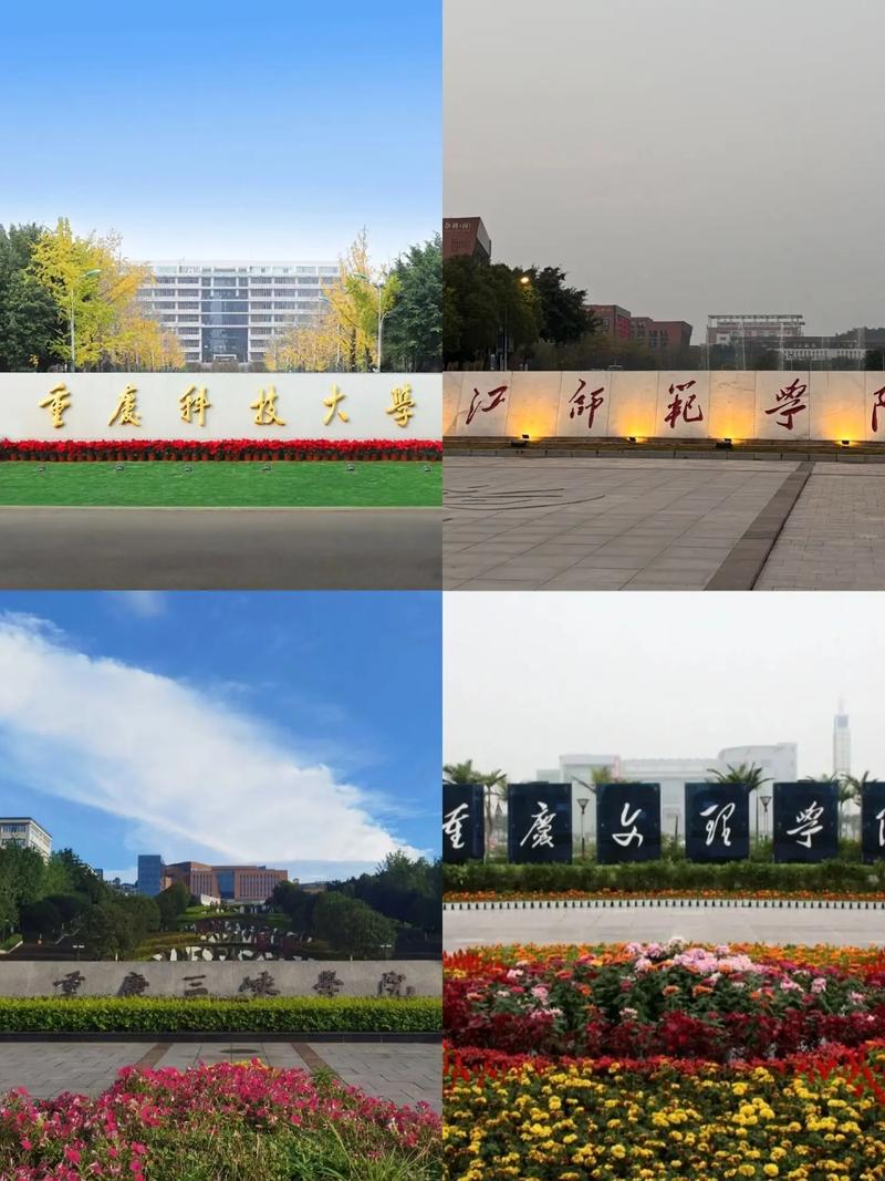 重庆科技大学 #重庆
